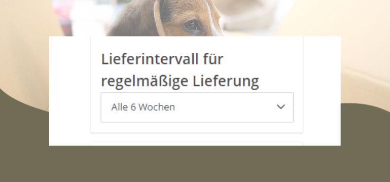 Lieferintervall